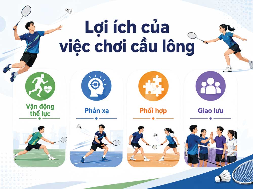 Sơ đồ sân cầu lông với biên đánh đơn, đánh đôi và các khu vực giao cầu