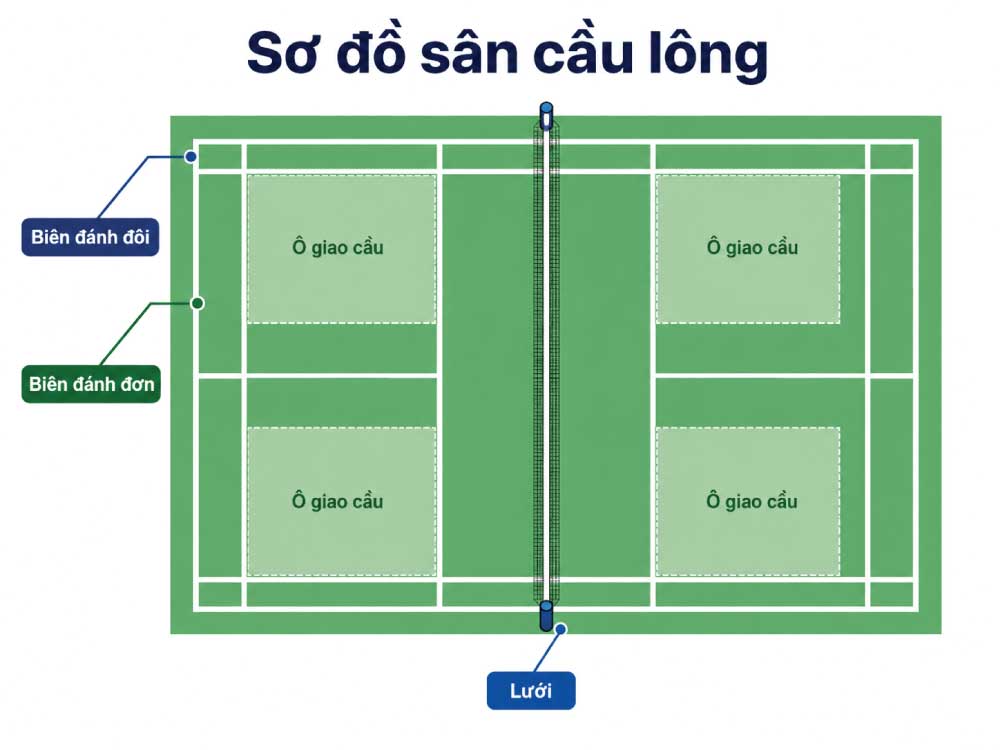 Sơ đồ sân cầu lông với biên đánh đơn, đánh đôi và các khu vực giao cầu